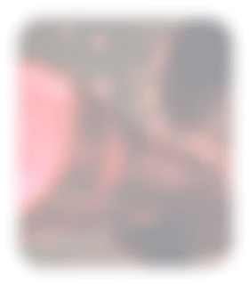 global_title8